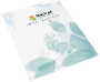 Annual Report 2022